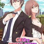 1 nửa hoàn hảo của ceo