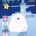 Giặt là vệ tinh