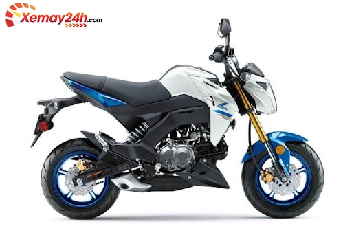 Kawasaki Z125 Pro