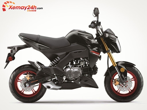 Kawasaki Z125 Pro